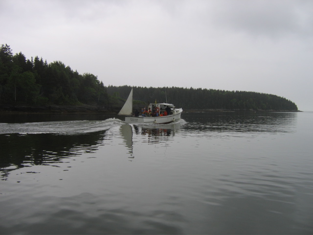 IMG_3767.JPG