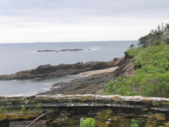 IMG_3807.JPG