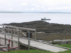 IMG_3832.JPG