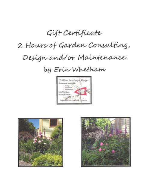 2 Hours of Landscape Design and/or Maintenance by Erin Whetham