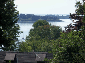 View from Window 2.jpeg