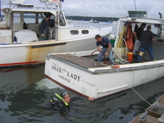IMG_1591.JPG