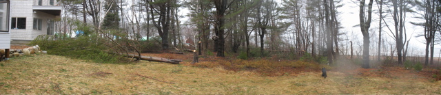 trees down 12 RP stitch