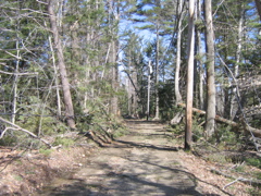 IMG_3040.JPG