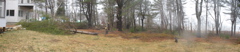 trees down 12 RP stitch