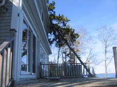 IMG_3081.JPG
