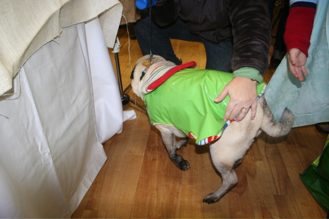 IMG_2974.JPG