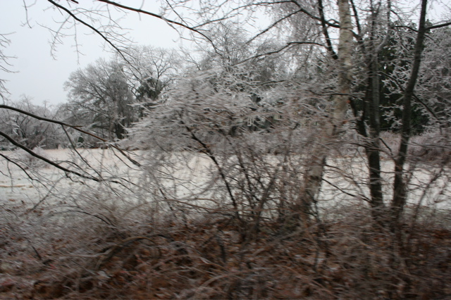IMG_3238.JPG