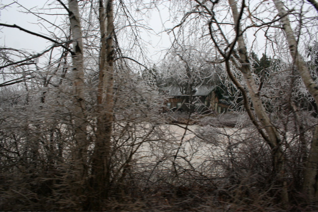 IMG_3239.JPG
