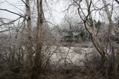 IMG_3239.JPG