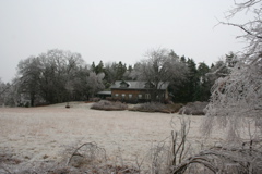 IMG_3240.JPG