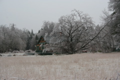IMG_3242.JPG