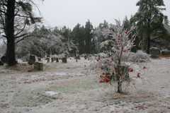 IMG_3248.JPG
