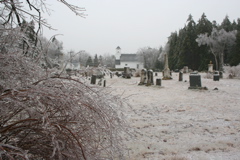 IMG_3251.JPG