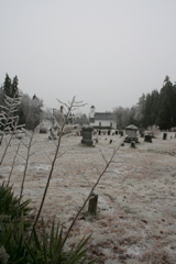 IMG_3253.JPG