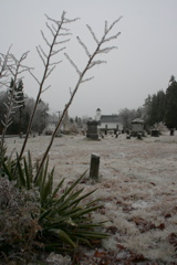 IMG_3254.JPG