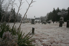 IMG_3255.JPG