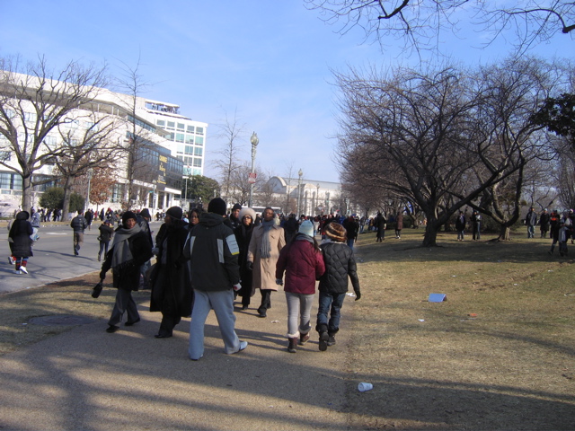 IMG_5235.JPG