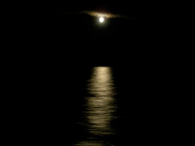 night moon1