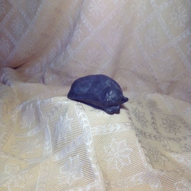 25 hand help sleeping cat