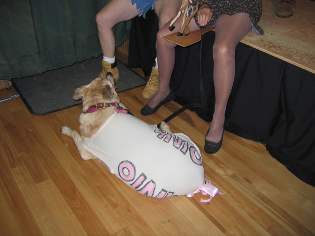 IMG_1265.JPG