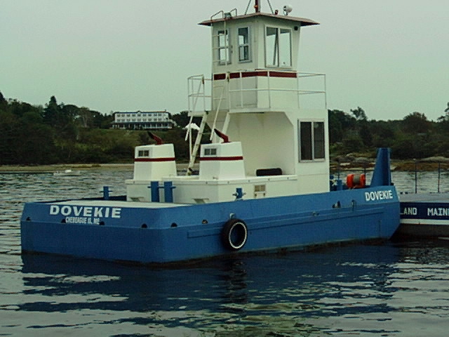 Dovekie at the mooring
