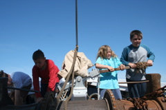 june 2008 295