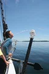 june 2008 333