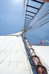 june 2008 348
