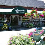 $50 Gift Card to Estabrooks Garden Center