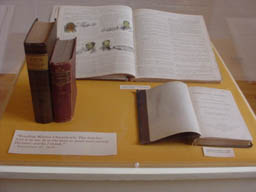 MVC-647F