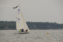 _TLP4790