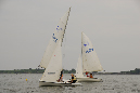 _TLP4919